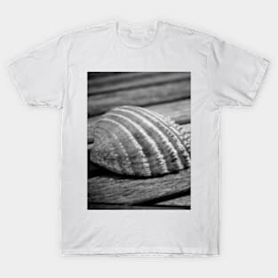 Half a sea shell on wood T-Shirt